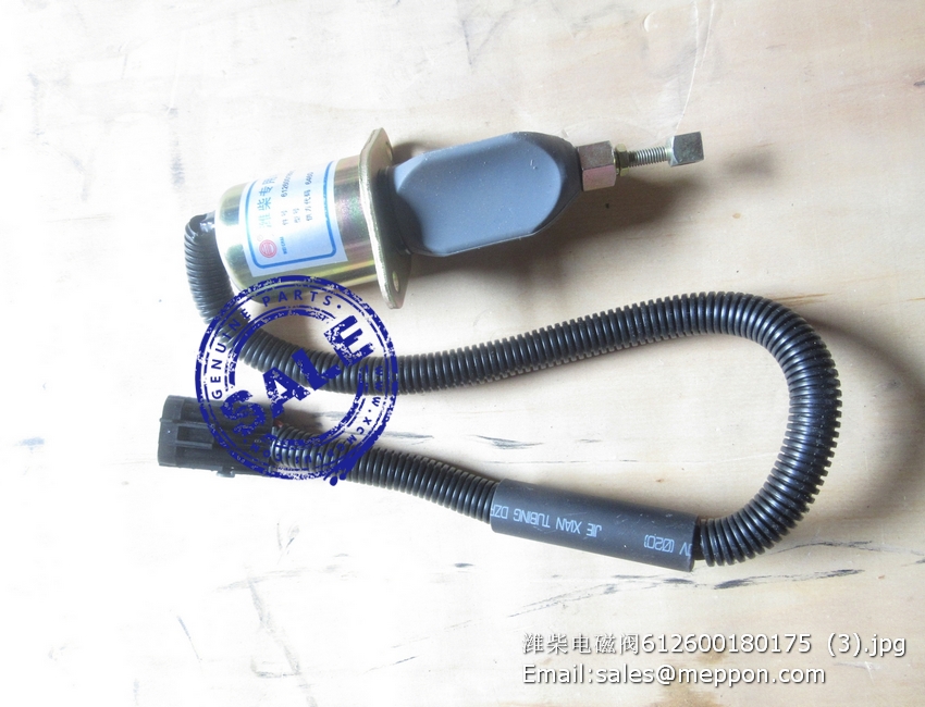 612600180175 Solenoid valve