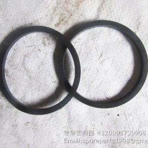 4120001739008 sealing ring SDLG