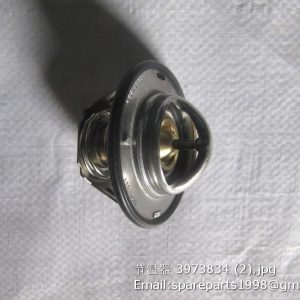 3973834 thermostat