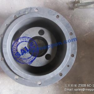 Z50B.6C-1 Planet carrier CHANGLIN ZL50H