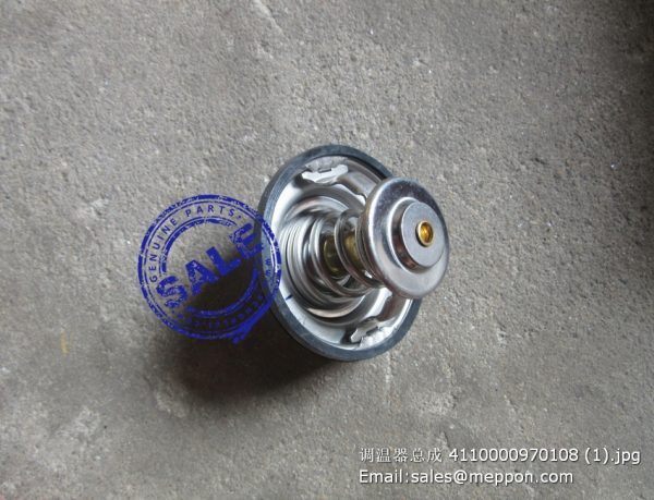 4110000970108 1306010-D600 thermostat