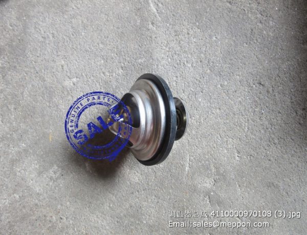 4110000970108 1306010-D600 thermostat - Image 3
