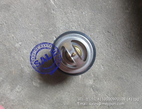 4110000970108 1306010-D600 thermostat - Image 4