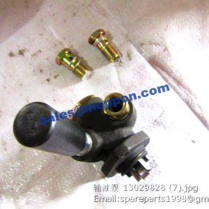 fuel delivery pump 13029828