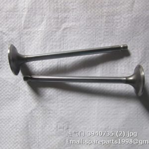 3940735 INTAKE VALVE