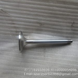 12159606 4110000054096 VALVE INTAKE