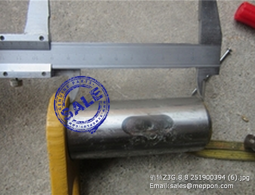 251900394 Z3G.8.8 XCMG PIN – Meppon Co., Ltd