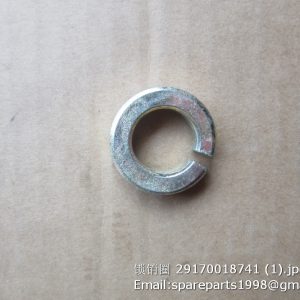 29170018741 LOCK RING SDLG