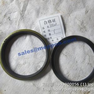 4043000056 DUST RING SDLG