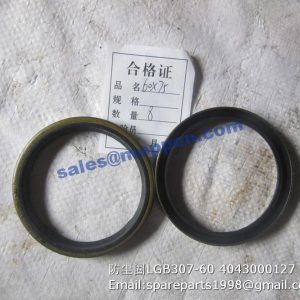 4043000127 SEALING RING SDLG
