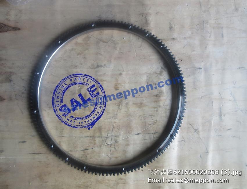 612600020208 FLYWHEEL GEAR RING 4110000556043 SP101876