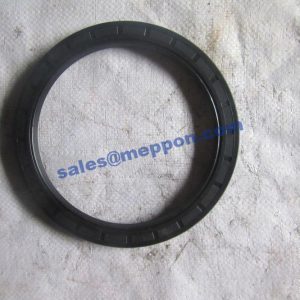 4030000046 HG4-692-PD130x160x12 oil seal