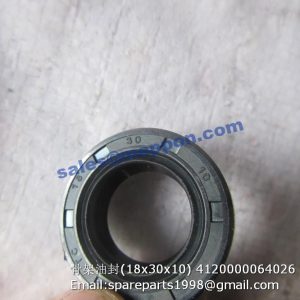 4120000064026 oil seal