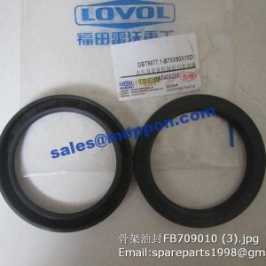 GBT9877.1-B70X90X10D OIL SEAL