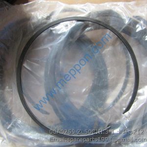 00A0259 ZL50CIII.3-1 SNAP RING φ212