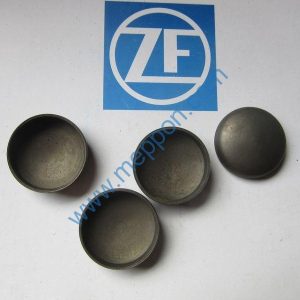 0630362024 密封垫圈 sealing cap ZF