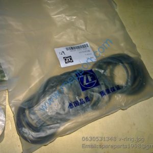 0630531348 v-ring ZF