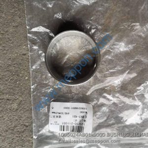 1006024AB01-0000 BUSHING XICHAI FAWDE