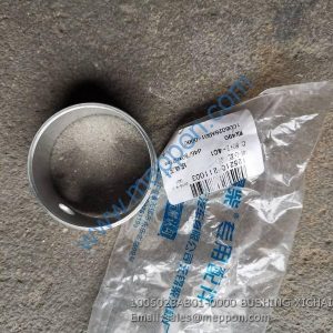 1006028AB01-0000 BUSHING XICHAI
