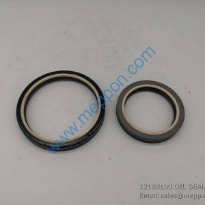 12188100 OIL SEAL 4110000054100 SDLG WEICHAI