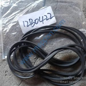 12B0422 SEAL RING LIUGONG