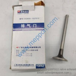 1DQ600-1007012 valve exhaust YUCHAI