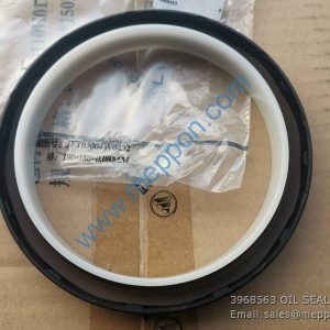 3968563 OIL SEAL foton
