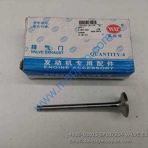 490B-03015 SP107254 VALVE EX XINCHAI