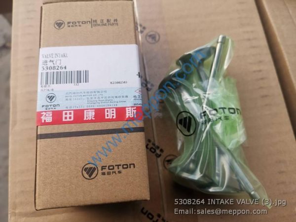 5308264 INTAKE VALVE FOTON