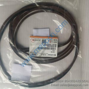 80A0024 80A0024X0 SEAL LIUGONG
