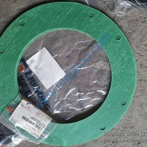 81A0080 SHIM LIUGONG