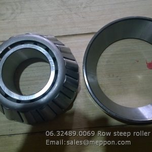 06.32489.0069 Row steep roller bearing SHACMAN