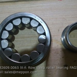 06.32609.0065 Row steep roller bearing FAG575867 SHACMAN TONLY