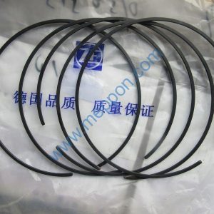 0730513181 SNAP RING ZF