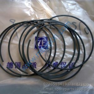 0730513419 ZF SNAP RING