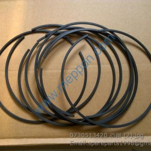 0730513420 ZF SNAP RING