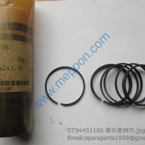 0734401106 piston ring ZF