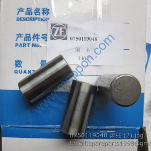 0750119048 ZF CYL.ROLLER 7200001647 860116309 SP100271