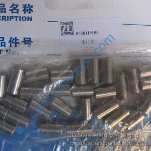 0750119100 roller set ZF