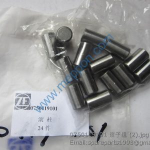 0750119101 ZF ROLLER SET