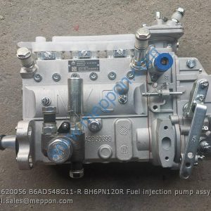 1001620056 B6AD548G11-R BH6PN120R Fuel injection pump assy 13053063
