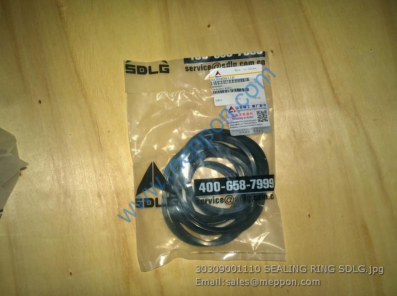 3030900110 SEALING RING SDLG