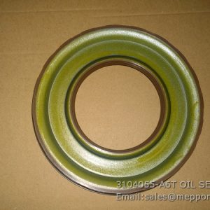 3104055-A6T OIL SEAL FAW