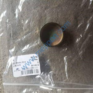 4110003273010 HA01238 PLUG SDLG YUNNEI