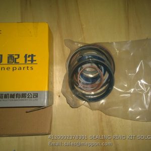 4120002378301 SEALING RING KIT SDLG