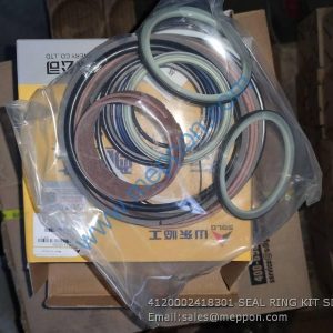 4120002418301 SEAL RING KIT SDLG