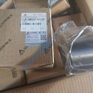 4120002418306 BUSHING SDLG