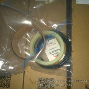 4120004765013 SEALING RING KIT SDLG G9165 G9180 G9190 G9200 G9220 PARTS