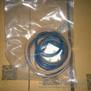 4120004771015 SEALING RING KIT SDLG G9165 G9180 G9190 G9200 G9220 PARTS