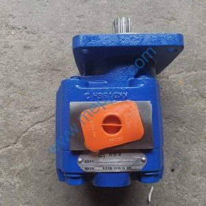 4120004824 P5100-F63NI367-6G GEAR PUMP SDLG